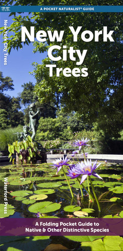 New York City Trees (Nature Observation North America) book cover by J.M. Kavanagh