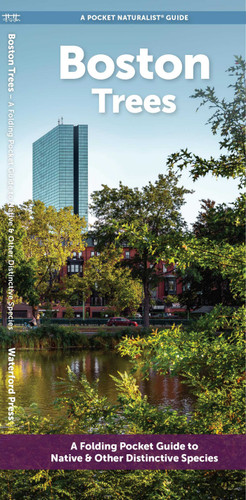 Boston Trees: A Folding Pocket Guide to Native & Other Distinctive Species (Urban Trees) book cover by J.M. Kavanagh