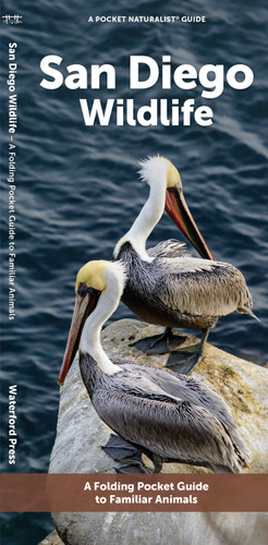 San Diego Wildlife: A Folding Pocket Guide to Familiar Animals (Nature Observation North America) book cover by J.M. Kavanagh