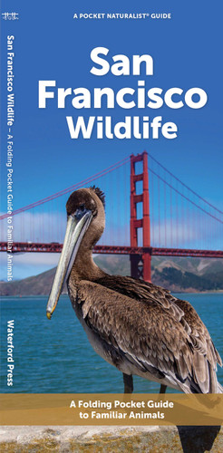 San Francisco Wildlife: A Folding Pocket Guide to Familiar Animals (Urban Wildlife) book cover by J.M. Kavanagh