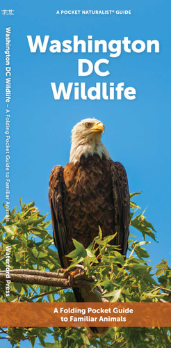 Washington DC Wildlife: A Folding Pocket Guide to Familiar Animals (Nature Observation North America) book cover by J.M. Kavanagh