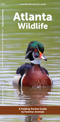 Atlanta Wildlife: A Folding Pocket Guide to Familiar Animals (Nature Observation North America) book cover by J.M. Kavanagh