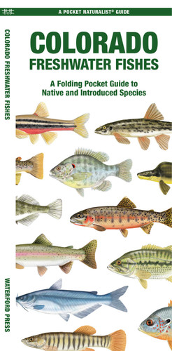Colorado Freshwater Fishes (Nature Observation North America) book cover by Matthew Morris