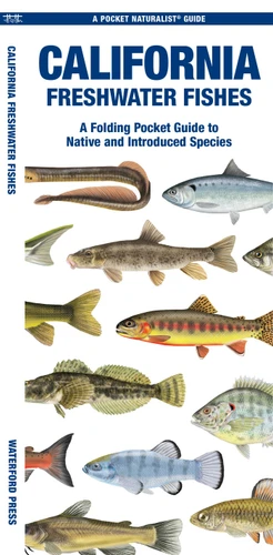 California Freshwater Fishes: A Folding Pocket Guide to Native and Introduced Species (Freshwater Fishes) book cover by Matthew Morris Morris