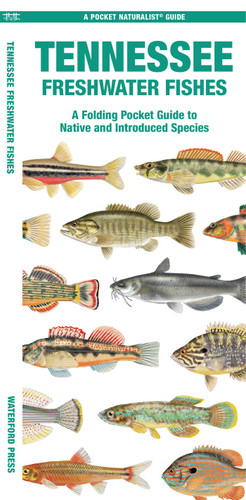 Tennessee Freshwater Fishes (Nature Observation North America) book cover by Matthew Morris