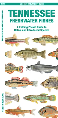 Tennessee Freshwater Fishes: A Folding Pocket Guide to Native and Introduced Species (Freshwater Fishes) book cover by Matthew Morris