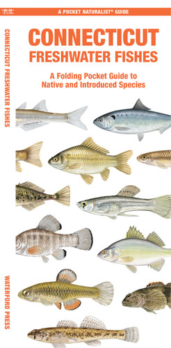 Connecticut Freshwater Fishes: A Folding Pocket Guide to Native and Introduced Species (Freshwater Fishes) book cover by Matthew Morris