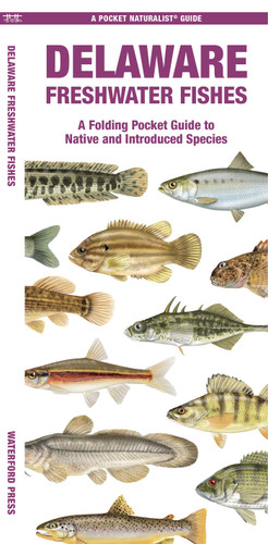 Delaware Freshwater Fishes (Nature Observation North America) book cover by Matthew Morris