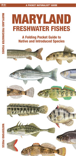 Maryland Freshwater Fishes (Nature Observation North America) book cover by Matthew Morris Morris