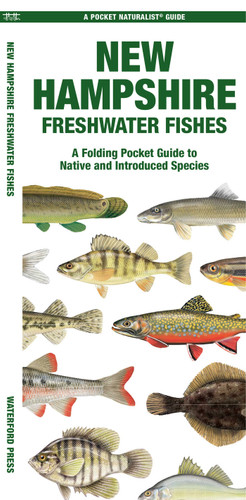 New Hampshire Freshwater Fishes: A Folding Pocket Guide to Native and Introduced Species (Nature Observation North America) book cover by Matthew Morris
