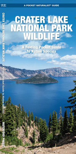 Crater Lake National Park Wildlife (Nature Observation North America) book cover by J.M. Kavanagh