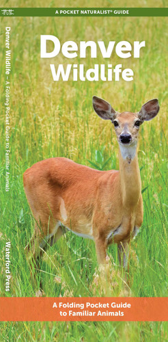 Denver Wildlife: A Folding Pocket Guide to Familiar Animals (Urban Wildlife) book cover by J.M. Kavanagh