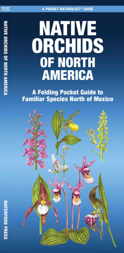 Native Orchids of North America: A Folding Pocket Guide to Familiar Species North of Mexico book cover by Mary Ruden
