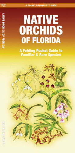 Native Orchids of Florida (Nature Observation North America) book cover by Mary Ruden Ruden