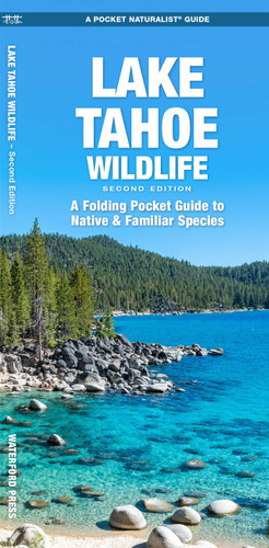 Lake Tahoe Wildlife: A Folding Pocket Guide to Native & Familiar Species book cover by J.M. Kavanagh