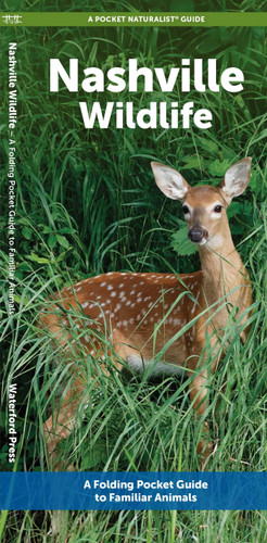 Nashville Wildlife: A Folding Pocket Guide to Familiar Animals (Nature Observation North America) book cover by J.M. Kavanagh