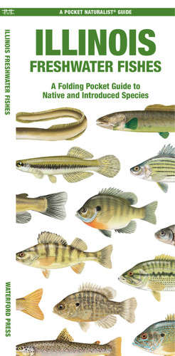 Illinois Freshwater Fishes: A Folding Pocket Guide to Native and Introduced Species (Nature Observation North America) book cover by Matthew Morris