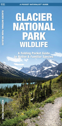 Glacier National Park Wildlife: A Folding Pocket Guide to Native & Familiar Species (Nature Observation North America) book cover by J.M. Kavanagh