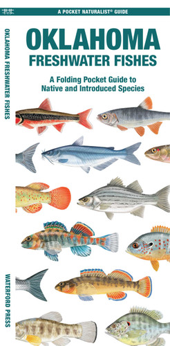 Oklahoma Freshwater Fishes: A Folding Pocket Guide to Native and Introduced Species (Freshwater Fishes) book cover by Matthew Morris