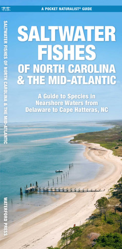 Saltwater Fishes of North Carolina & the Mid-Atlantic: A Guide to Species in Nearshore Waters from Delaware to Cape Hatteras, NC (Nature Observation North America) book cover by J.M. Kavanagh