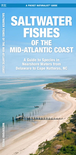 Saltwater Fishes of the Mid-Atlantic Coast: A Guide to Species in Nearshore Waters from Delaware to Cape Hatteras, NC (Saltwater Fishes) book cover by J.M. Kavanagh