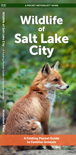 Wildlife of Salt Lake City: A Folding Pocket Guide to Familiar Animals (Nature Observation North America) book cover by J.M. Kavanagh