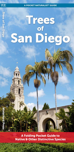 Trees of San Diego: A Folding Pocket Guide to Native & Other Distinctive Species (Nature Observation North America) book cover by J.M. Kavanagh