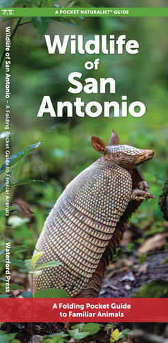 Wildlife of San Antonio: A Folding Pocket Guide to Familiar Animals (Nature Observation North America) book cover by J.M. Kavanagh