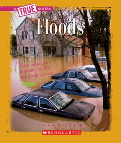 Floods ( True Books: Earth Science ) Cover
