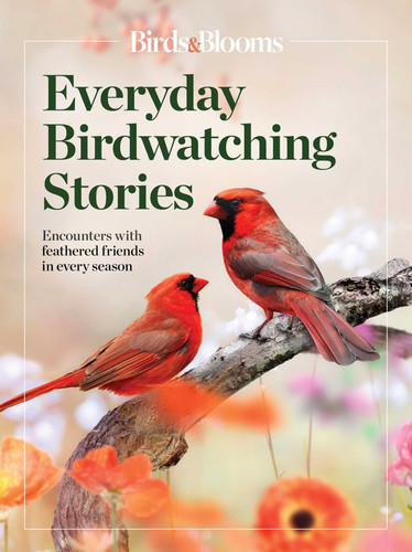 Birds & Blooms  Everyday Birdwatching Stories: Encounters with feathered friends in every season book cover by 