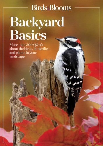 Birds and Blooms Backyard Basics: More than 300 Q&As about birds, butterflies and plants in your landscape book cover by 
