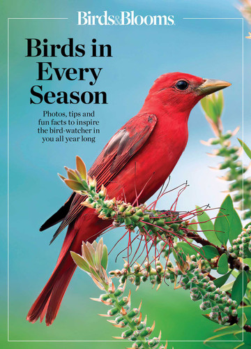 Birds & Blooms Birds in Every Season: Cherish the Feathered Flyers in Your Yard All Year Long (Birds & Blooms Guide) book cover by 