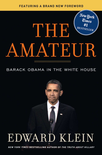 The Amateur book cover by Edward Klein