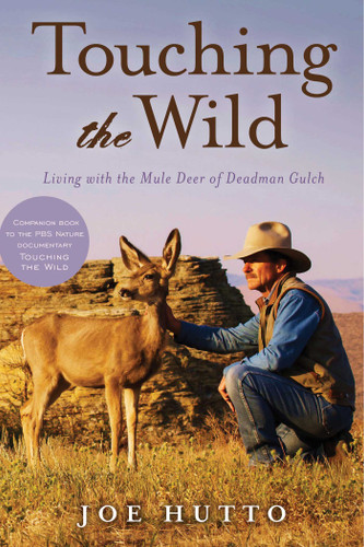 Touching the Wild: Living with the Mule Deer of Deadman Gulch book cover by Joe Hutto