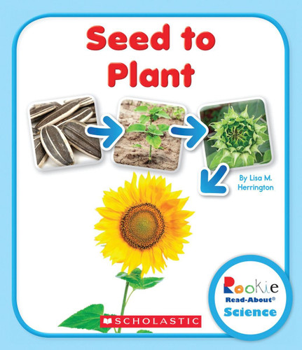 Seed to Plant Cover