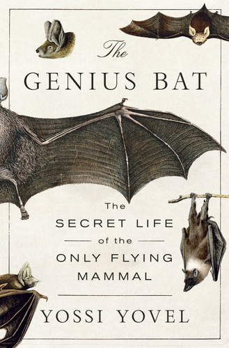 The Genius Bat: The Secret Life of the Only Flying Mammal book cover by Yossi Yovel