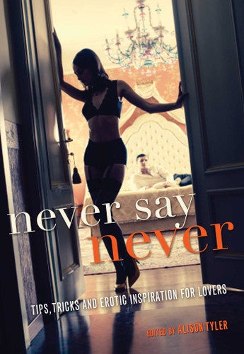 Never Say Never: Tips, Tricks, and Erotic Inspiration for Lovers book cover by 
