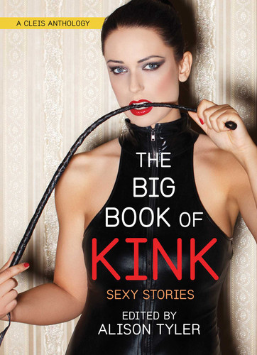 Big Book of Kink: Sexy Stories book cover by 