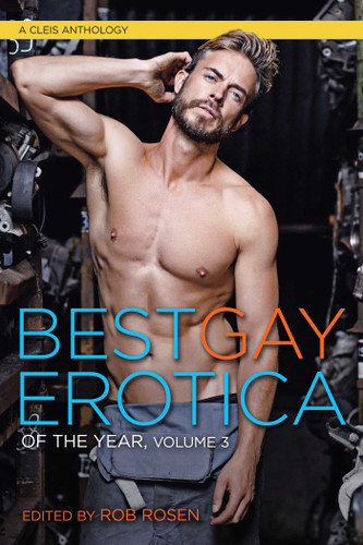 Best Gay Erotica of the Year, Volume 3 (Best Gay Erotica) book cover by 