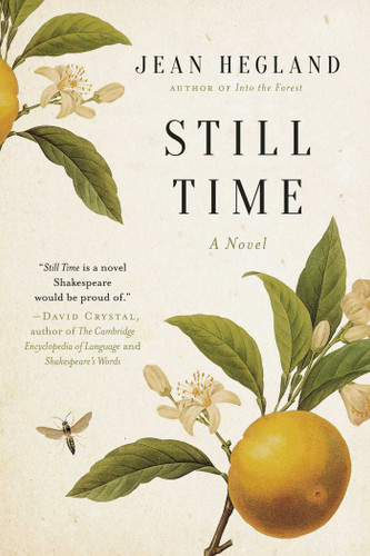 Still Time: A Novel book cover by Jean Hegland
