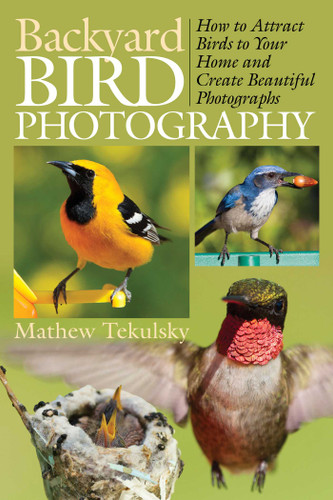 Backyard Bird Photography: How to Attract Birds to Your Home and Create Beautiful Photographs book cover by 