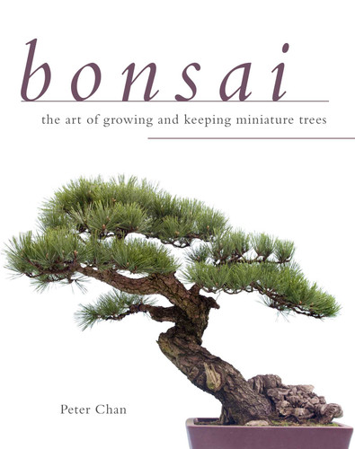 Bonsai: The Art of Growing and Keeping Miniature Trees book cover by Peter Chan