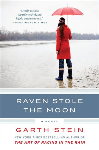 Raven Stole the Moon: A Novel book cover by Garth Stein