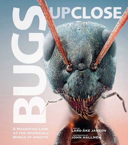 Bugs Up Close: A Magnified Look at the Incredible World of Insects book cover by 