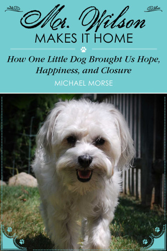 Mr. Wilson Makes It Home: How One Little Dog Brought Us Hope, Happiness, and Closure book cover by Michael Morse