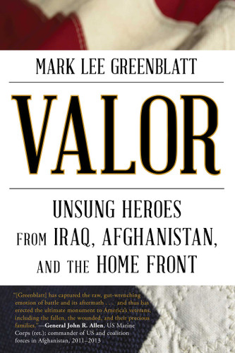 Valor: Unsung Heroes from Iraq, Afghanistan, and the Home Front book cover by Mark Lee Greenblatt