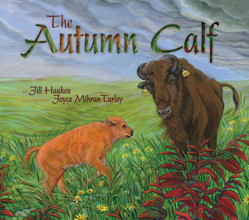 The Autumn Calf book cover by Jill Haukos