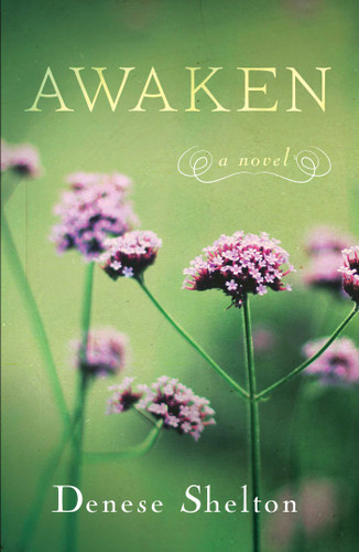 Awaken: A Novel book cover by Denese Shelton