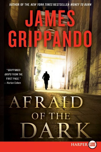 Afraid of the Dark: A Novel of Suspense (Jack Swyteck Novel #9) book cover by James Grippando