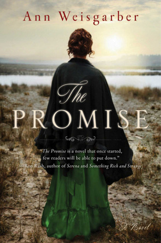 The Promise: A Novel book cover by Ann Weisgarber